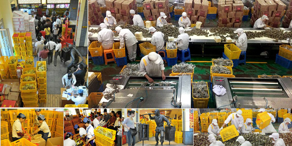 91香蕉视频下载地址為嘉興五芳齋集團提供粽子專用91香蕉视频在线播放周轉箱